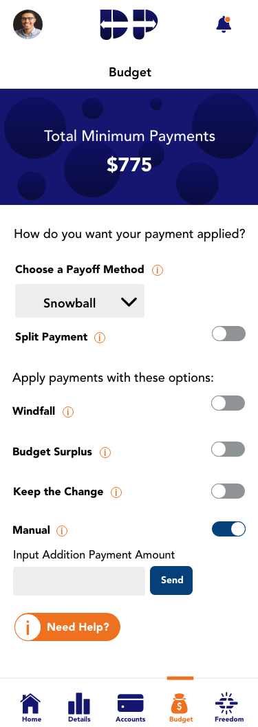 Debt Pull — Budget — manual entry